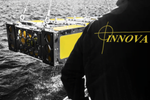 ROV workover control system